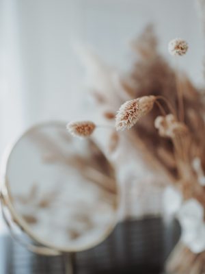 jasmin-ne-1aVDax72ir4-unsplash